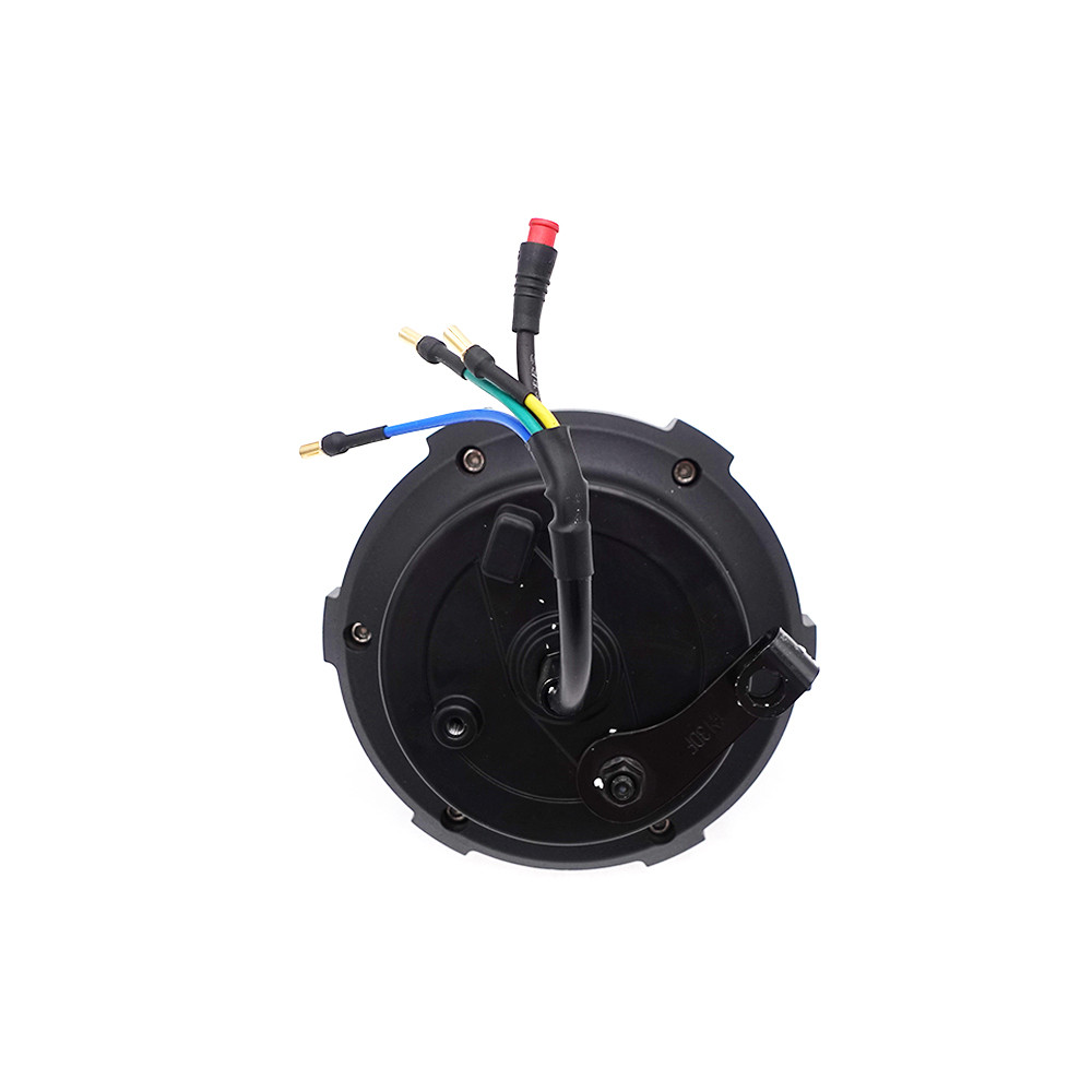 Dualtron Togo 48v motor