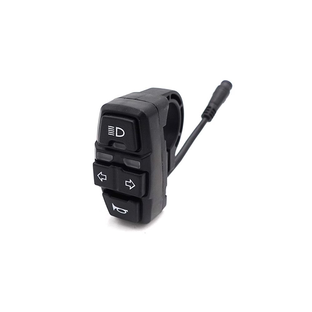 Interruptor Dualtron Forever, Aminia