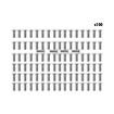 Dualtron Mini deck screws x100pcs