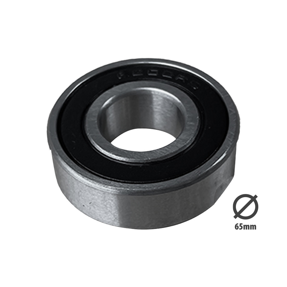 6202 2RS bearing