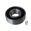 6202 2RS bearing
