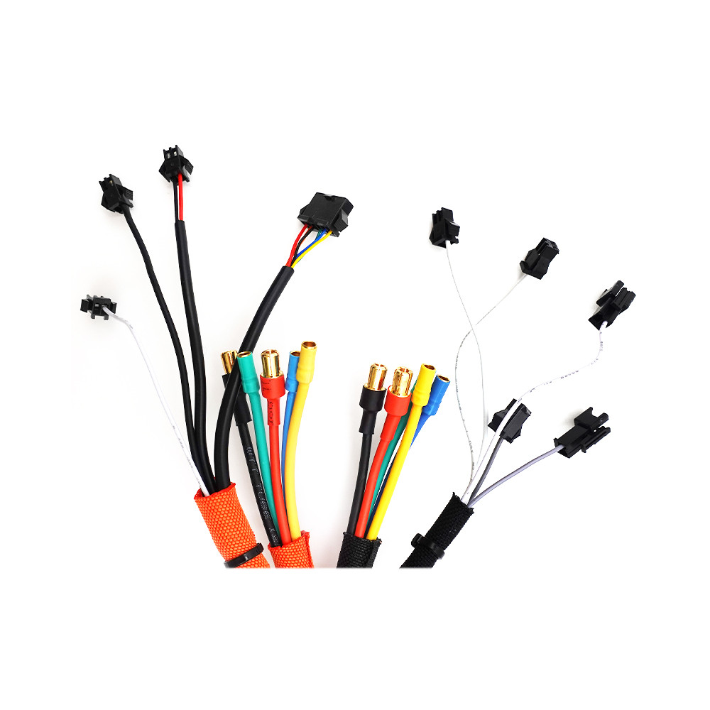 60V 22A Dualtron Forever controller