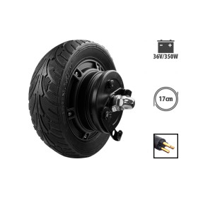 Motor 36V 350W para Z8