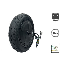 Ninebot F30 250-W-Motor