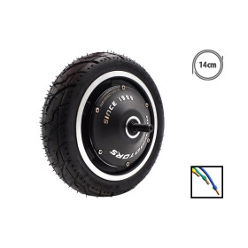 Moteur Dualtron Aminia pour trottinette électrique - Wattiz