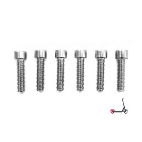 BTR-Schrauben für das Hinterrad Dualtron Mini (x6)