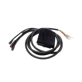 Display Dualtron Togo 36V 48V