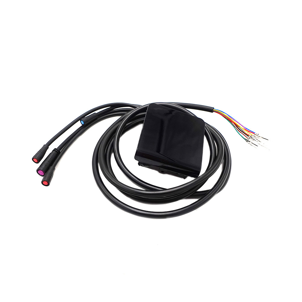 Display Dualtron Togo 36V 48V