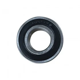 6004 2RS bearing
