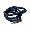 Cable de datos 4 en 1 Kugoo M4