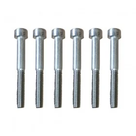 Tornillos de soporte Dualtron Mini X6