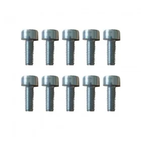 Xiaomi wheel cover screws (X10)