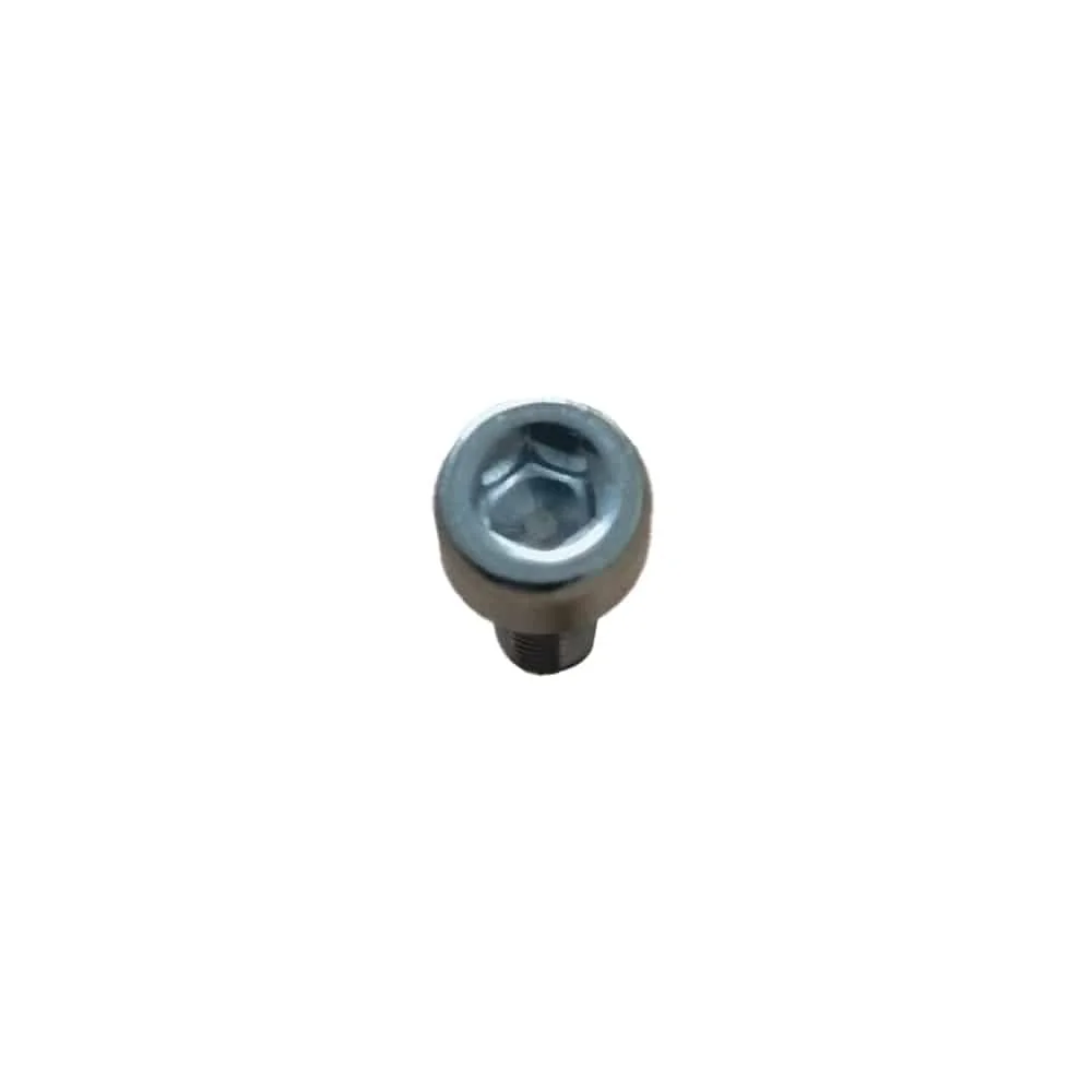 Xiaomi wheel cover screws (X10)